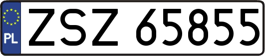 ZSZ65855