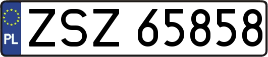 ZSZ65858