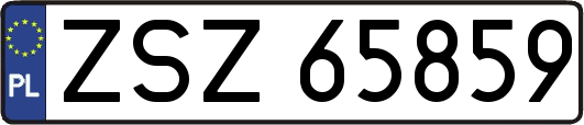 ZSZ65859