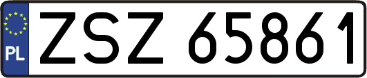 ZSZ65861
