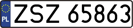 ZSZ65863