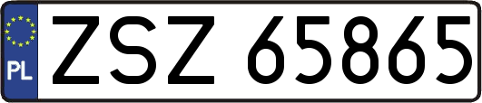 ZSZ65865