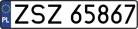 ZSZ65867