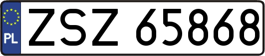 ZSZ65868