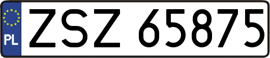 ZSZ65875