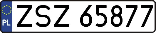 ZSZ65877