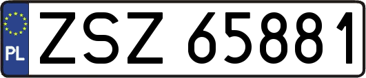 ZSZ65881