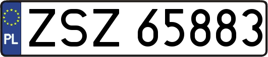 ZSZ65883