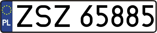 ZSZ65885
