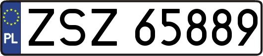 ZSZ65889