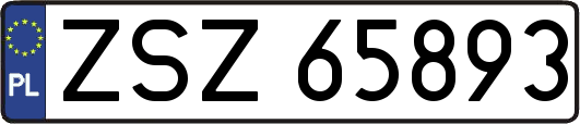 ZSZ65893