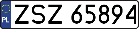 ZSZ65894
