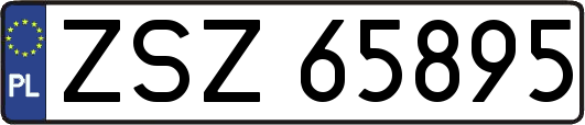 ZSZ65895
