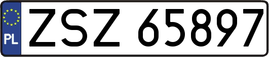 ZSZ65897