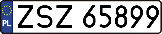 ZSZ65899