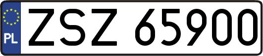 ZSZ65900