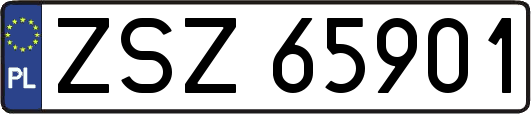 ZSZ65901
