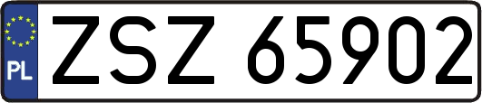 ZSZ65902