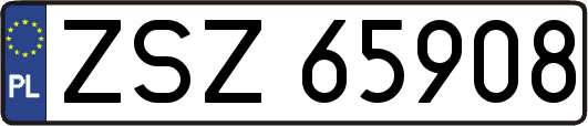 ZSZ65908