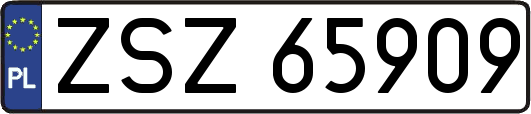 ZSZ65909