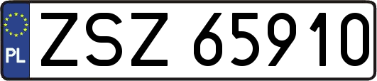 ZSZ65910