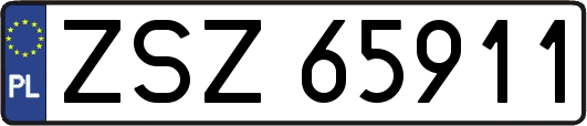 ZSZ65911