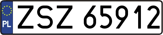 ZSZ65912