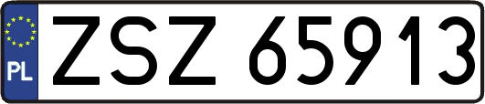 ZSZ65913