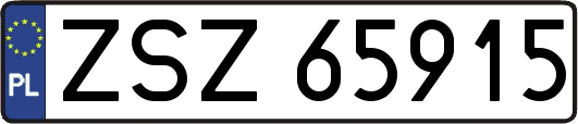 ZSZ65915
