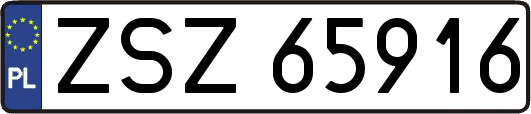ZSZ65916
