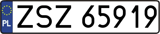 ZSZ65919