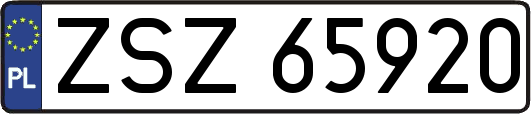 ZSZ65920