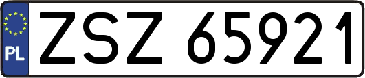 ZSZ65921