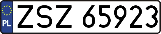 ZSZ65923