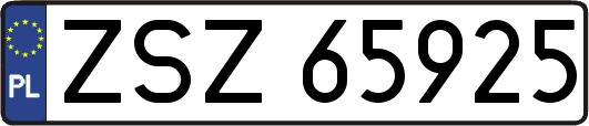 ZSZ65925