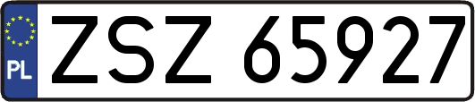 ZSZ65927