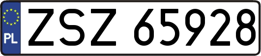 ZSZ65928