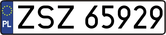 ZSZ65929