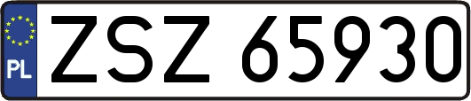 ZSZ65930