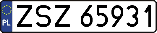 ZSZ65931