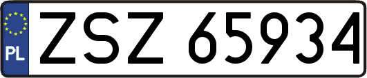 ZSZ65934