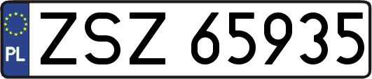 ZSZ65935