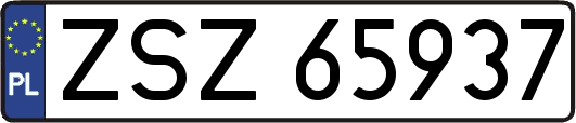 ZSZ65937