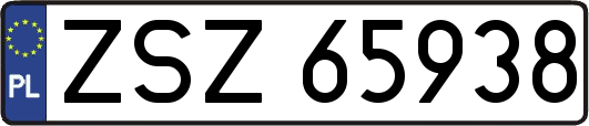 ZSZ65938