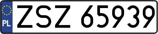 ZSZ65939