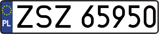 ZSZ65950