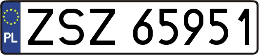 ZSZ65951