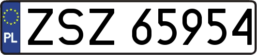 ZSZ65954