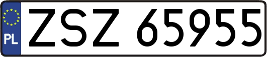 ZSZ65955