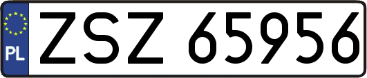 ZSZ65956